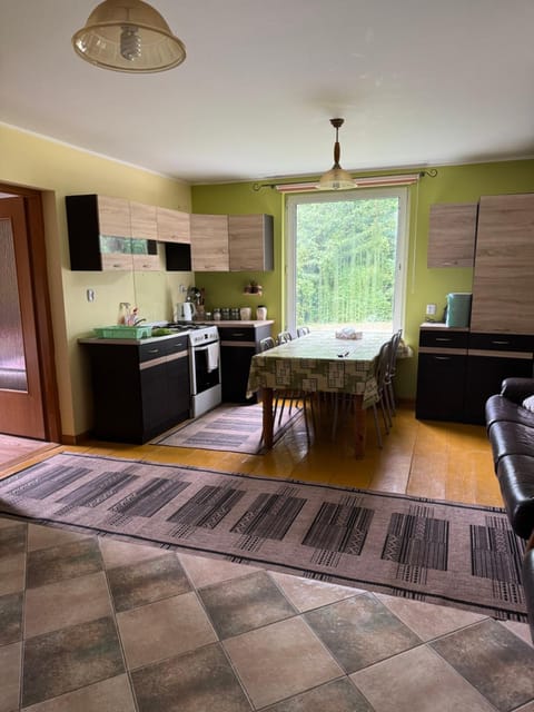Kitchen or kitchenette, Living room, Seating area, Dining area, stove