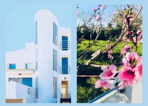 Property building, Spring