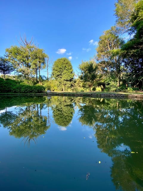 Lake view