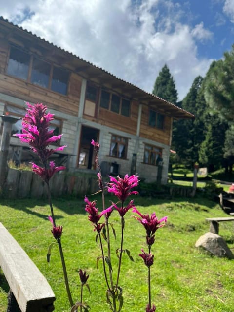Cabaña El Descanso del Carpintero Chalet in State of Mexico