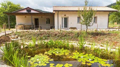 Property building, Natural landscape, Garden, Garden view