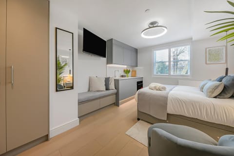 Bed, TV and multimedia, Photo of the whole room