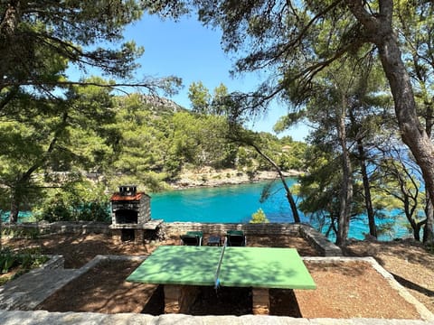 BBQ facilities, Table tennis