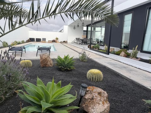 Garden, Garden view, Pool view, Swimming pool, sunbed