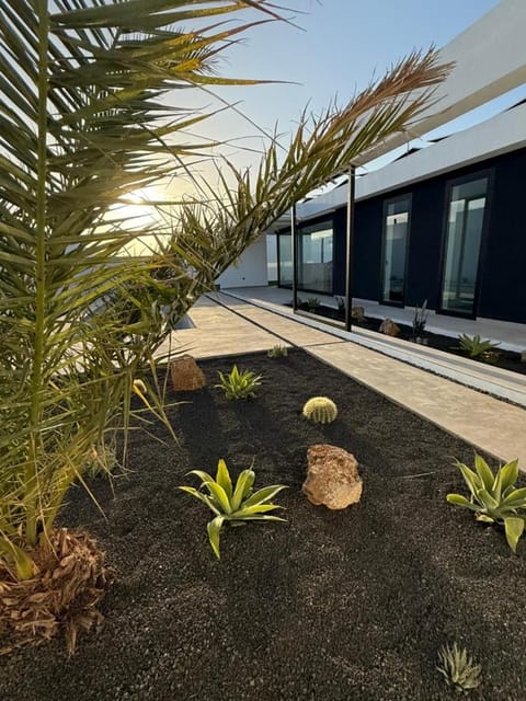 Day, Garden, Garden view