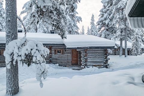 Property building, Neighbourhood, Natural landscape, Winter