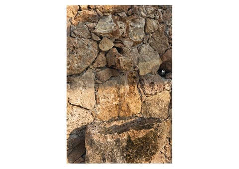 Villa Serena Apartment in Finale Ligure