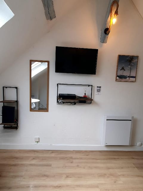 TV and multimedia, internet