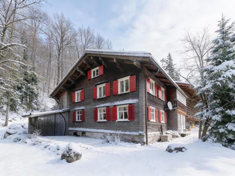 Property building, Winter