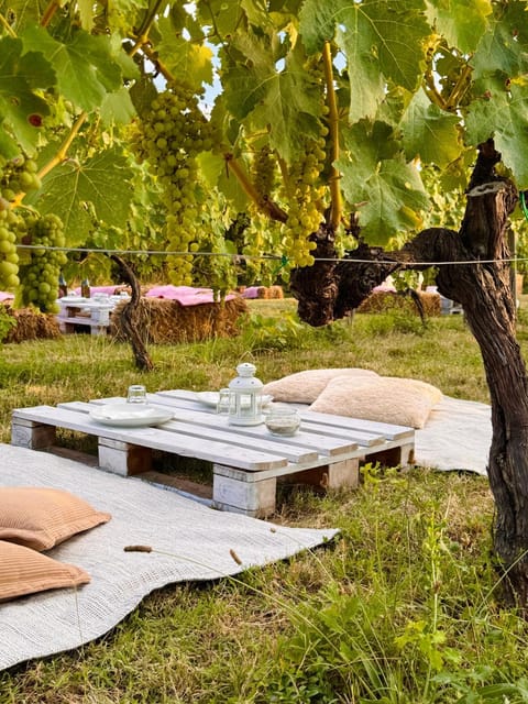 Spring, Garden, Garden view