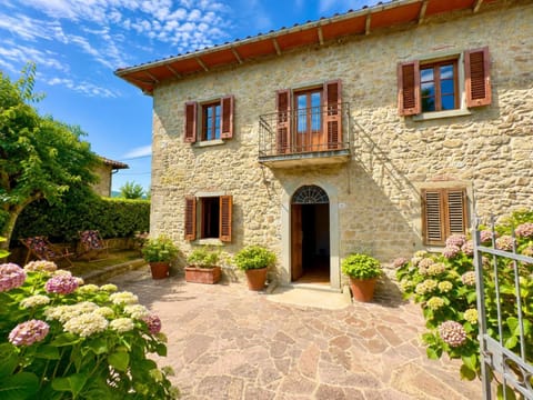 Property building, Garden view