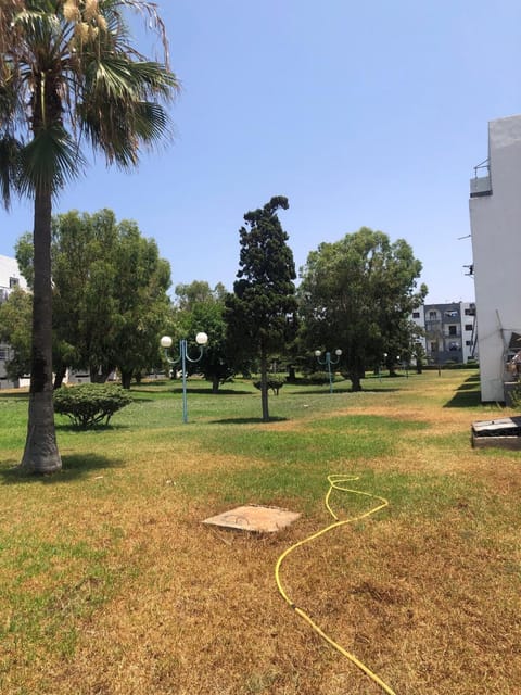 Garden, Garden view