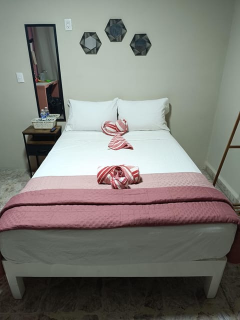 Suite 103 Cordoba Centro con Estacionamiento Apartment in State of Puebla