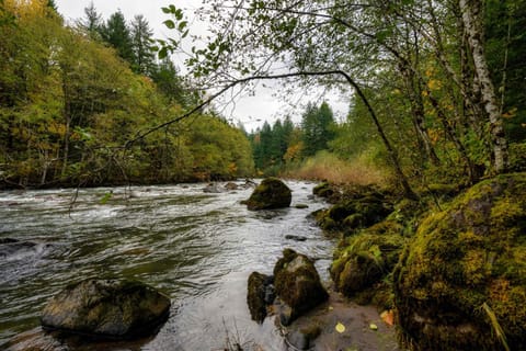 Spacious River Cabin - Hot Tub - Sleeps 8 Cabin in Welches