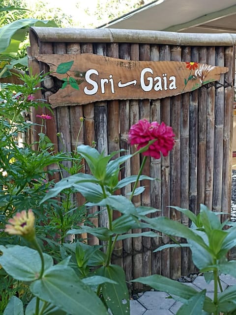 Logo/Certificate/Sign