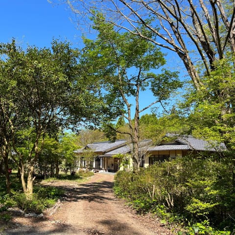 Property building, Day