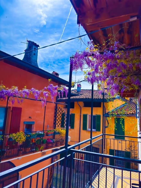 Spring