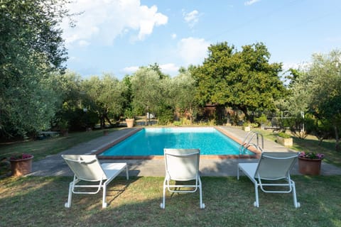 Spring, Day, Garden, Garden view, Pool view, Swimming pool, sunbed