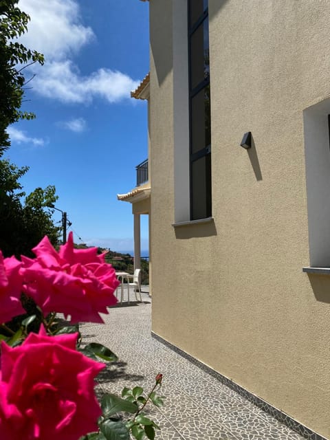 Property building, Day, Garden