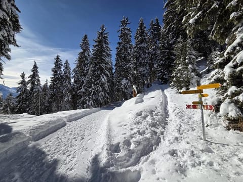 Chalet Ski in&out Chalet in Canton of Valais