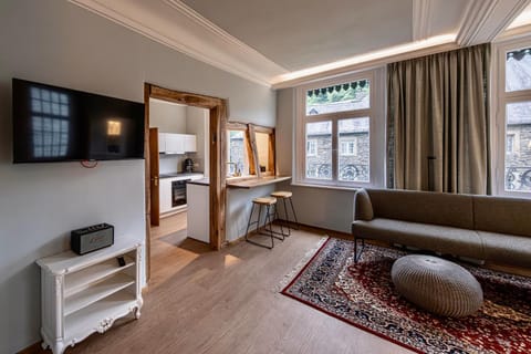 TV and multimedia, Living room, Photo of the whole room, kitchen
