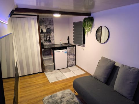 Apartment with private terrace and sound system UNDER THE JASMINE Apartment in Palanga