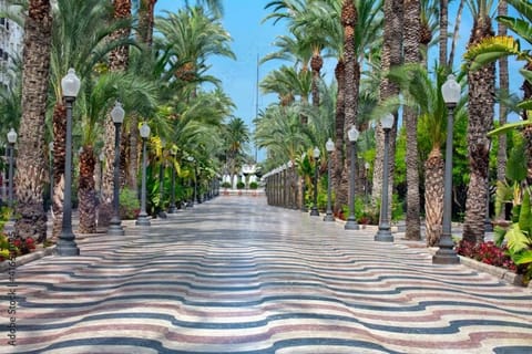 Céntrico y cómodo en Alicante Apartment in Alicante