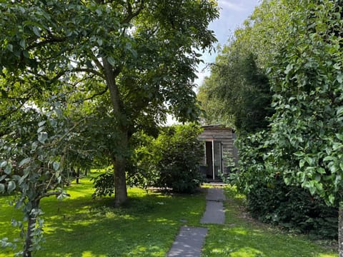 Property building, Garden, Garden view