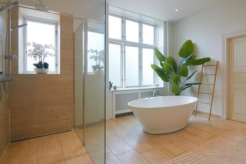 Huge Royal Luxury Apt with Private Balcony Apartment in Copenhagen