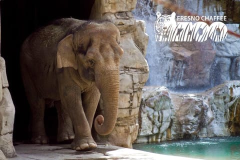 Cozy room at la paz Vacation rental in Fresno