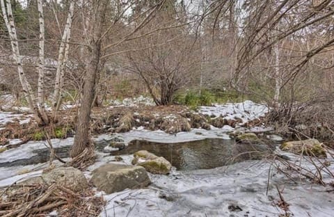 5 Miles from Mt- Rushmore with private hot tub House in Keystone