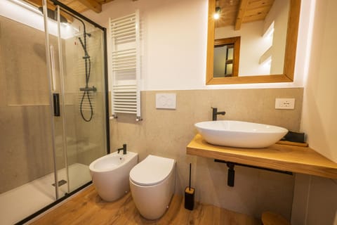 Shower, Toilet, Bathroom, bidet