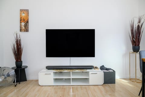 TV and multimedia