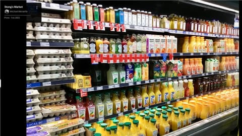 Dunbar Guest Home close downtown Vancouver, UBC and store Vacation rental in Vancouver