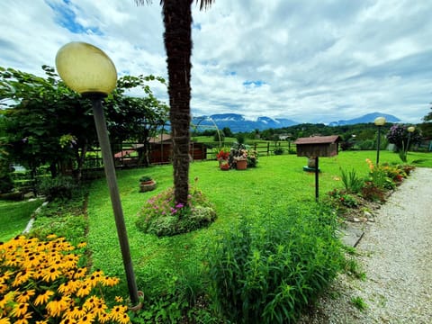 Garden, Garden view, Garden view