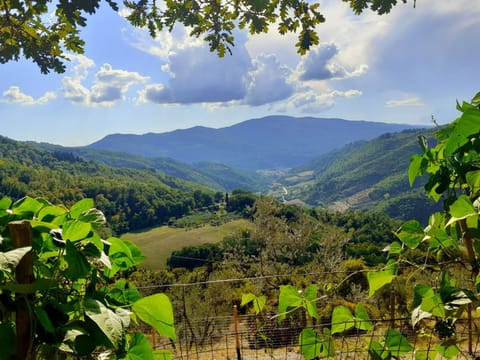 Nearby landmark, Natural landscape