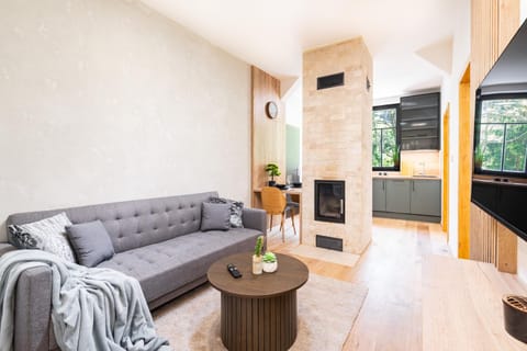 TV and multimedia, Living room, Dining area, kitchen