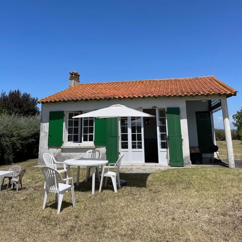 Property building, Garden, Garden, Garden view
