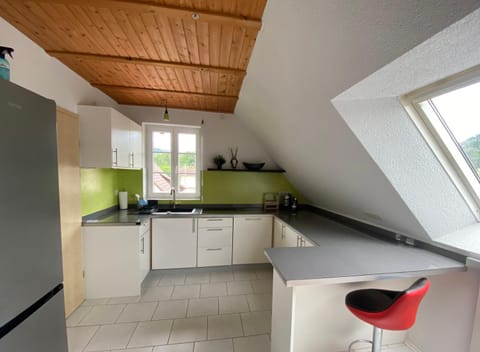 Kitchen or kitchenette, dishwasher, stove, kitchen