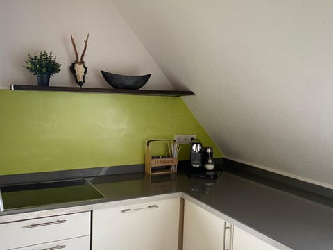 Coffee/tea facilities, Kitchen or kitchenette, dishwasher, stove