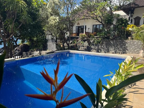 Property building, Day, Garden, Garden view, Pool view, Swimming pool