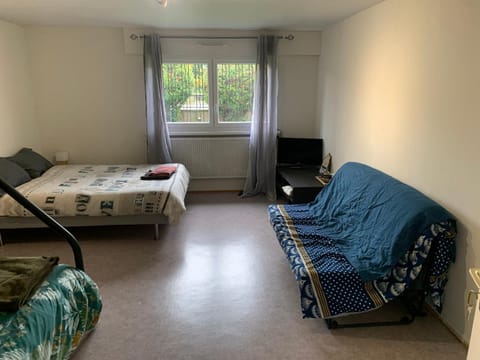 Chambre Spacieuse pour Familles ou Groupes 5 Pers plus Bébé Vacation rental in Strasbourg