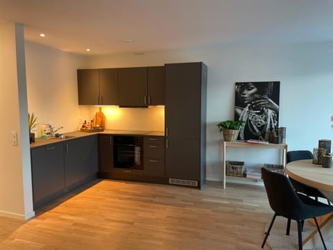 Kitchen or kitchenette, oven, stove