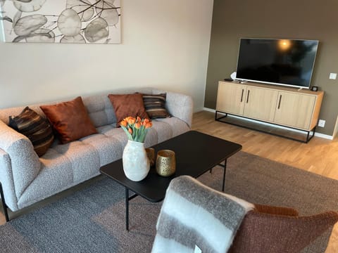 Communal lounge/ TV room, TV and multimedia, Living room