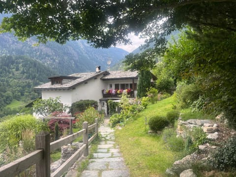 Property building, Day, Garden