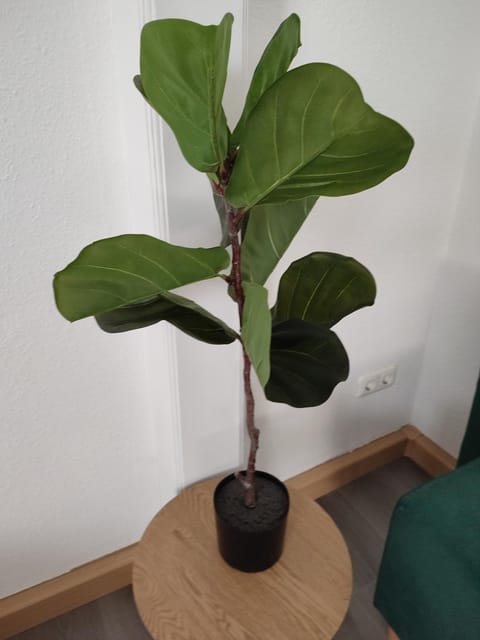 Bright and Spacious Apartment in Wiesbaden City Center Apartment in Wiesbaden