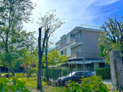 Property building, Summer