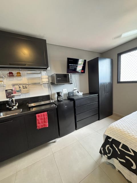 TV and multimedia, Kitchen or kitchenette, Photo of the whole room, minibar, pet friendly, stove