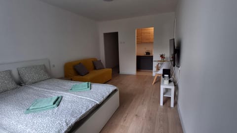 Apartament u Krzyżaka Apartment in Pomeranian Voivodeship