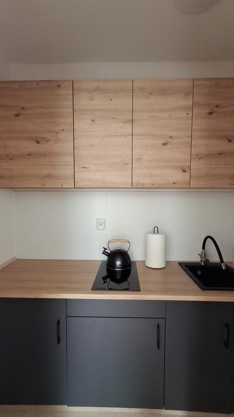 Apartament u Krzyżaka Apartment in Pomeranian Voivodeship